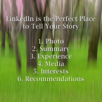 LinkedIn-is-the-Perfect